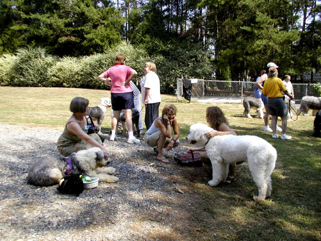 /images/events/5/Sheepie Picnic 2 Luka.jpg